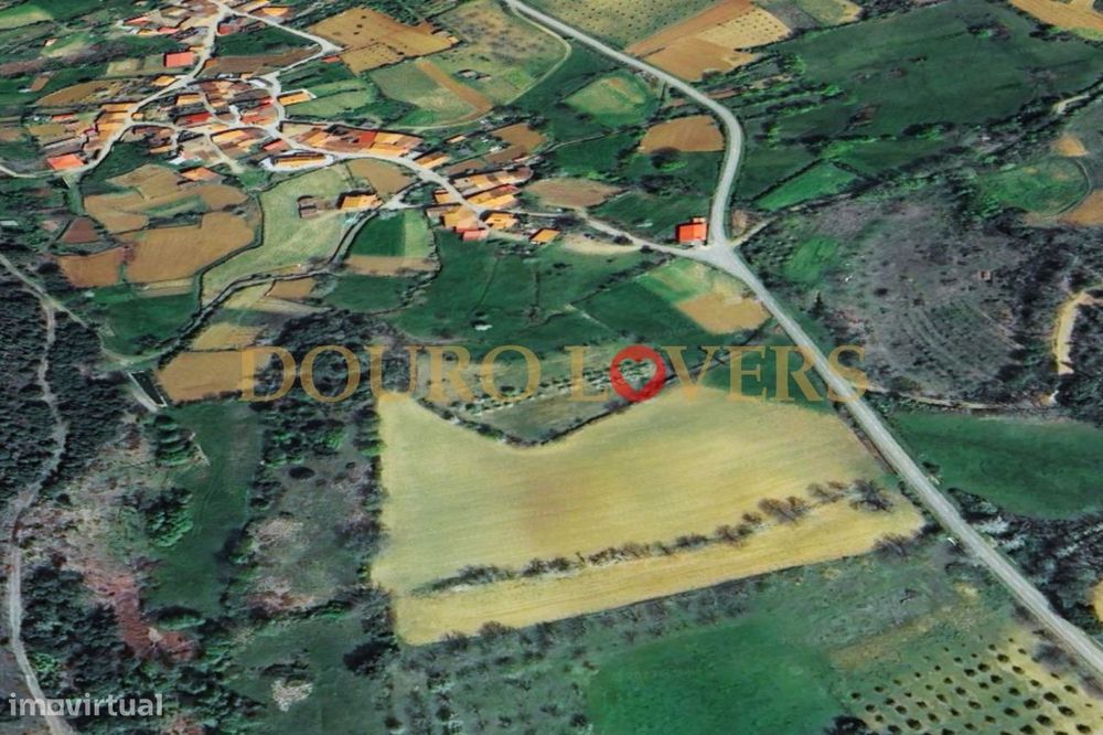 Terreno Agrícola para venda em Conlelas, Bragança