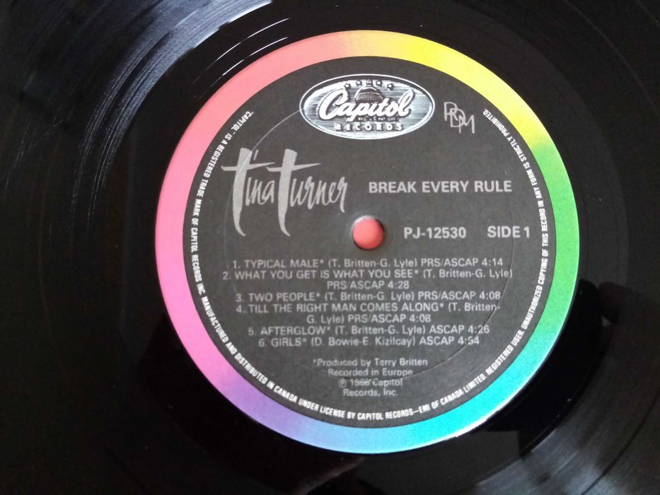Tina Turner  Break Every Rule  LP  WINYL  USA  EX/EX