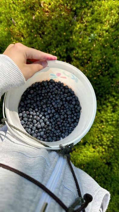 Продам Афина/черниця свіженька