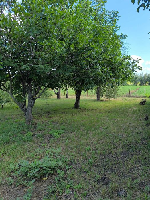 Продаж будинку 117,6 м² (біла цегла) + 45 сот з виходом до річки, с. Куцівка