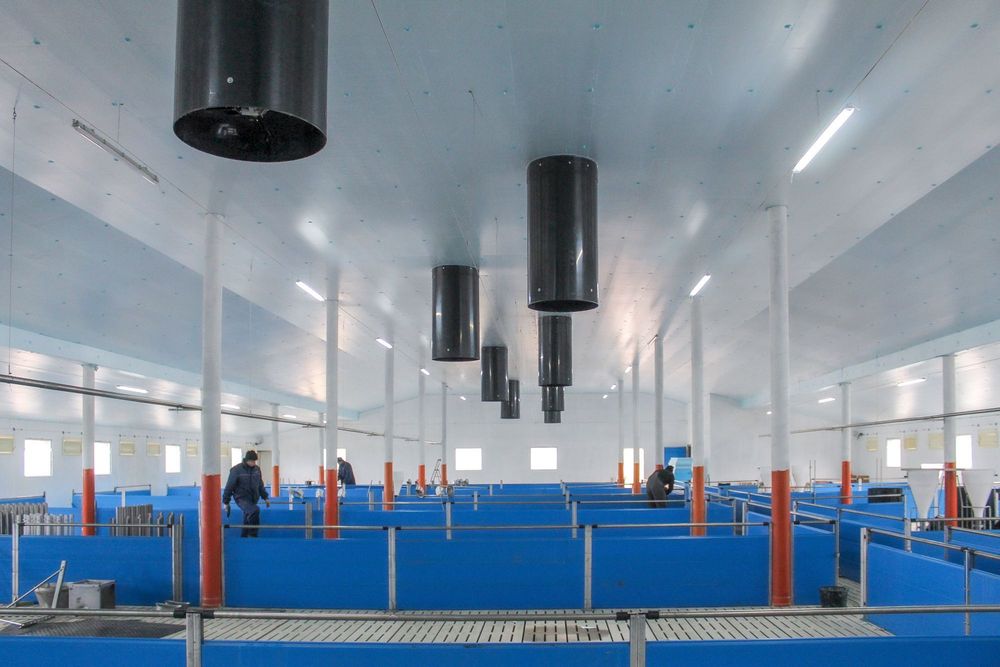 Błękitne Panele Izolacyjne Płyty Styrodur XPS AGRO Podbitka Podsufitka