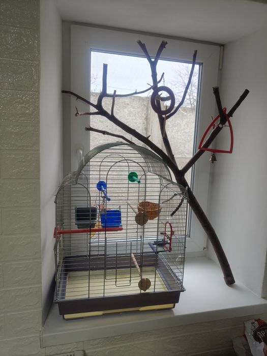 Клетка для попугаев