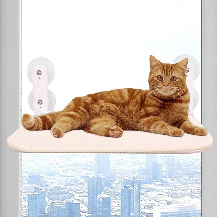 Cat bed for mounting on glass