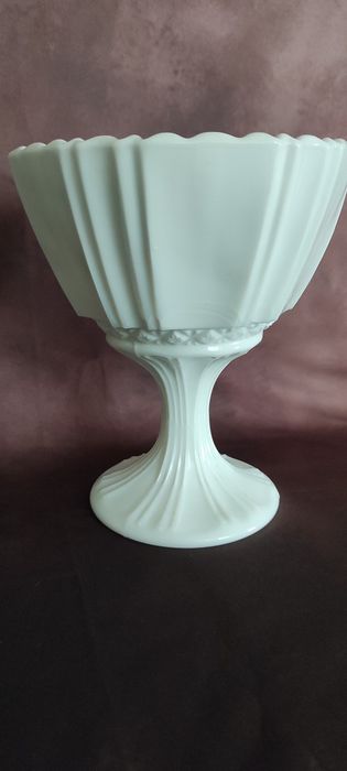Cukiernica latimo