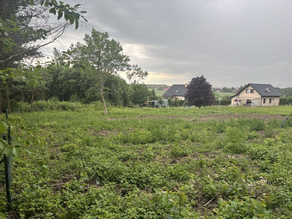 Działka budowlana 1248 m² Jordanów Śląski, Blisko Wrocławia