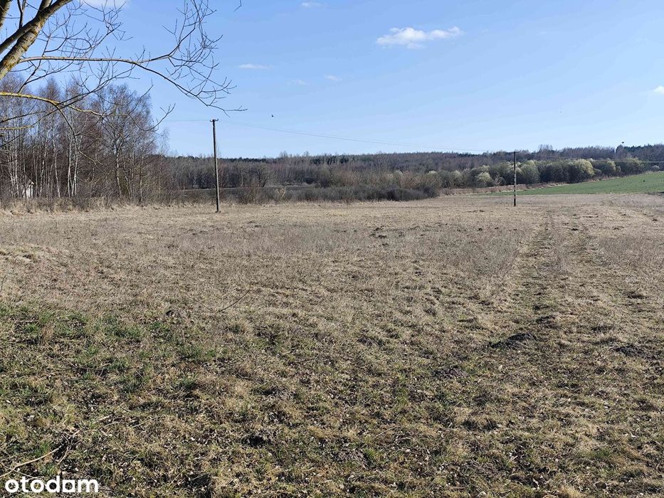 Sprzedam dom, działki budowlane, pole