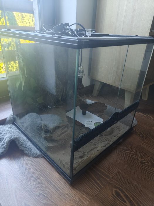 Terrarium dla gada