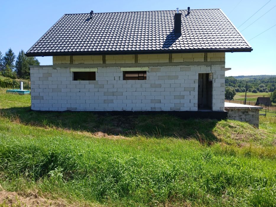 Dom wolnostojący