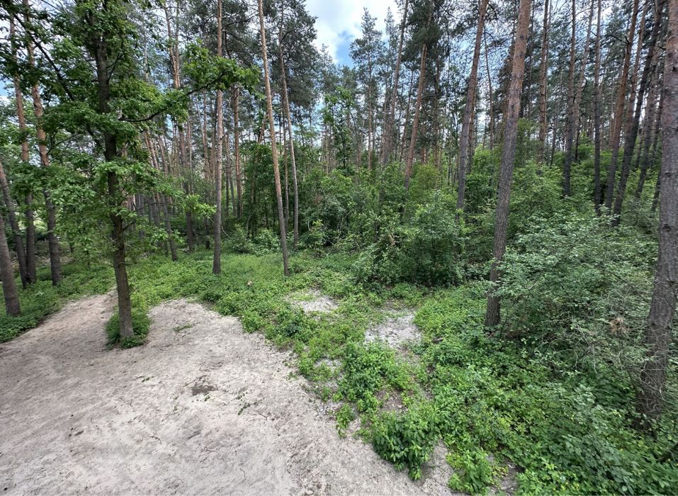 Земельна діляка 6 соток Стоянка . З виходом в ліс - Вид 2
