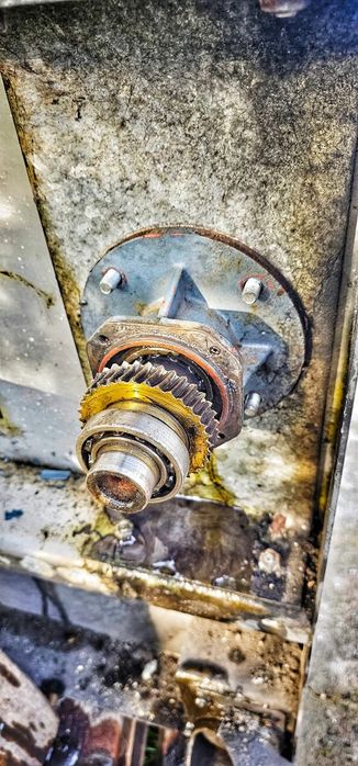 Koło zębate - ślimacznica do przekładni myjni