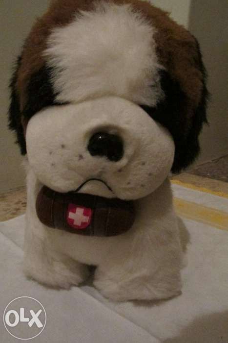 Peluche cão São Bernardo