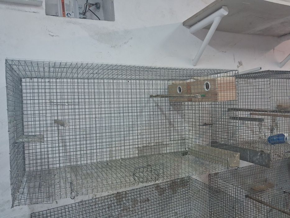 Vendo gaiolas  Bom preço