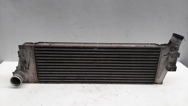 Radiador do intercooler RENAULT Megane II (BM0/1_, CM0/1_)