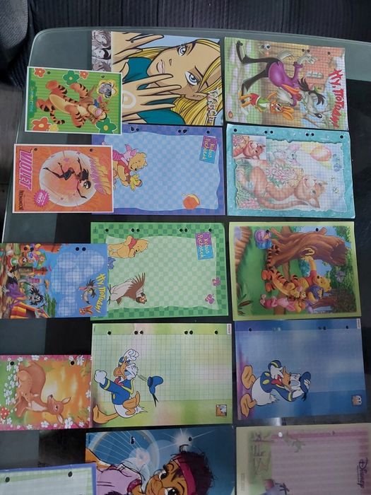 Karteczki do segregatora