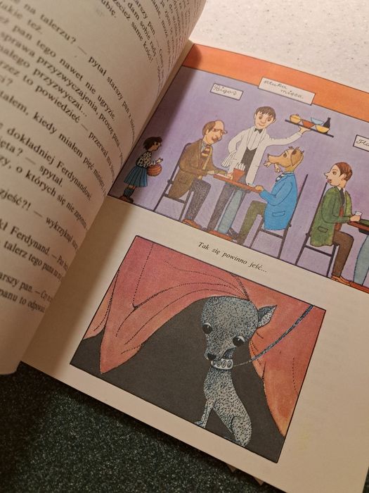 Ksiazka Ferdynand wspanialy Kern + GRATIS