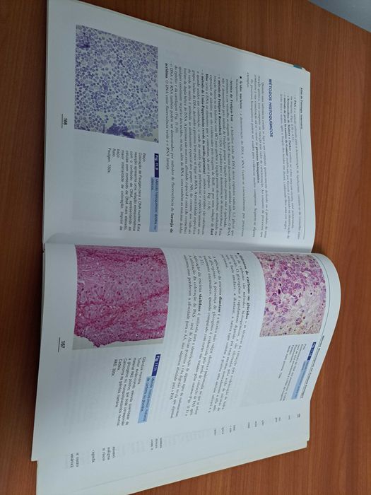 Atlas de Patologia Veterinária