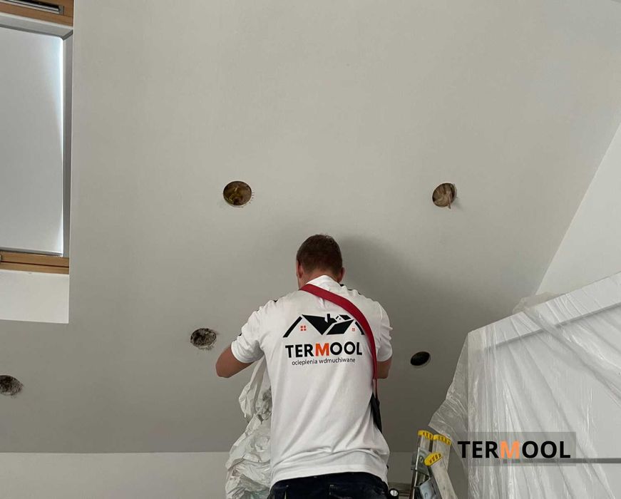 Ocieplenie Piana, Docieplanie Celuloza, Naprawa po kunie termoizolacja