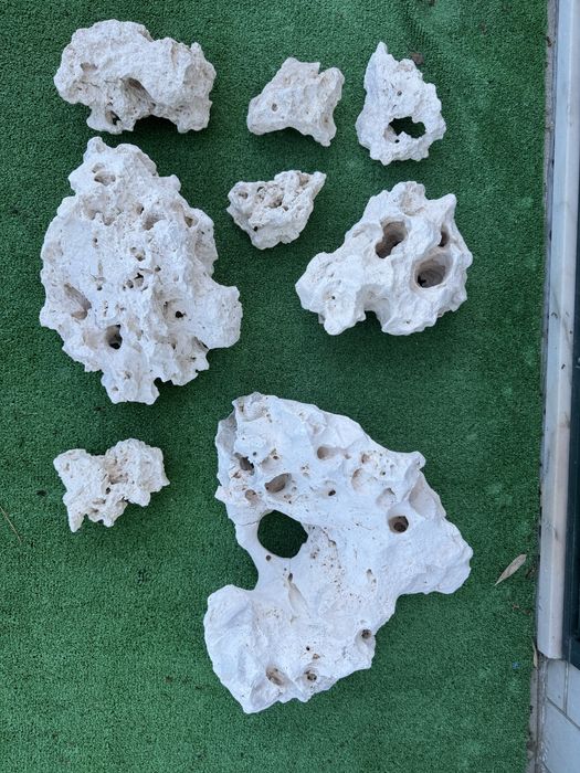 Rochas zanzibar aquario