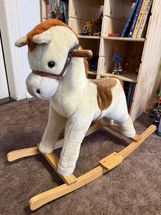 Konik na biegunach