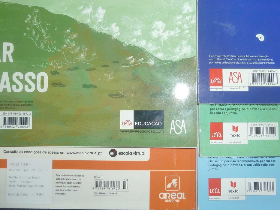 Cadernos de atividades / Livros de fichas 7.º Ano