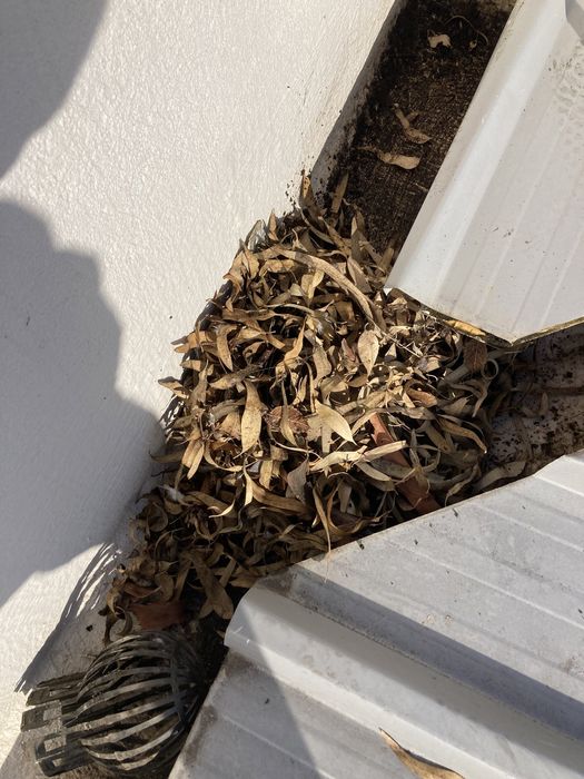 Limpeza de algerozes