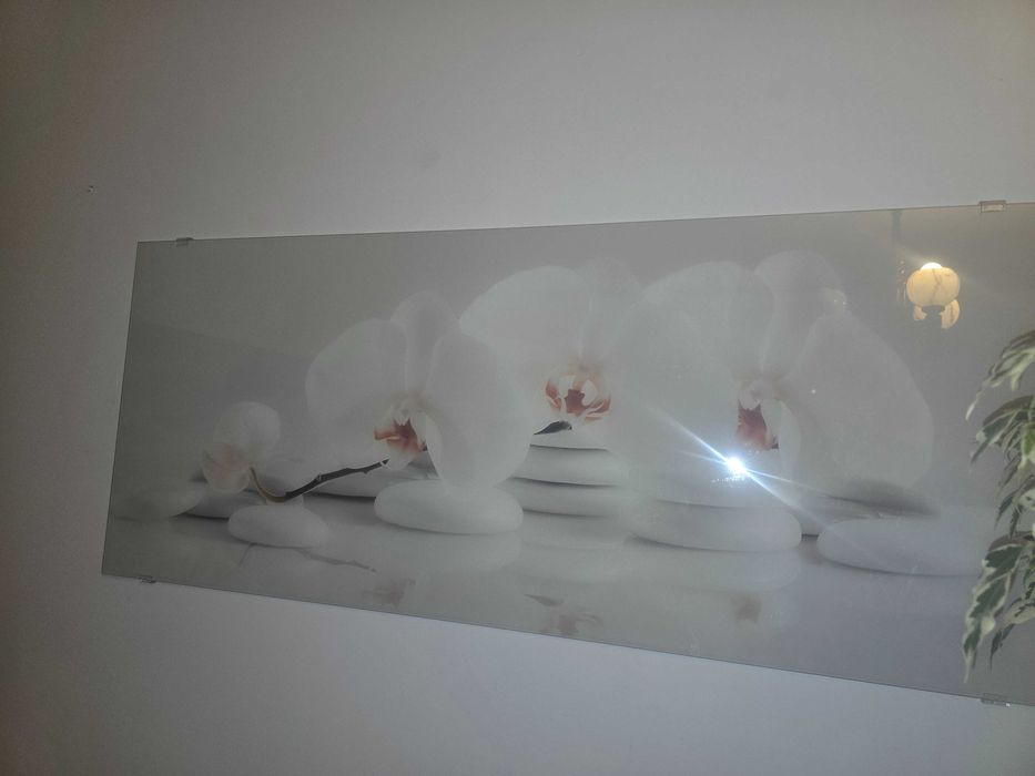 Obraz Szklany 125x50 cm Abstrakcja storczyk na kamieniach