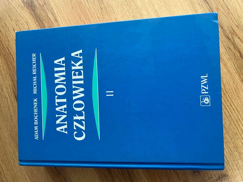 Anatomia człowieka Bochenek