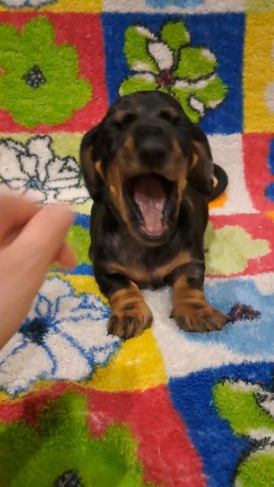 Чекає саме на Вас