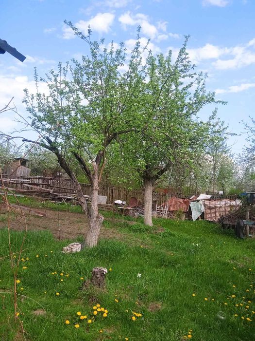 Продам дачу.  Березівкий масів,15 км від Житомира
