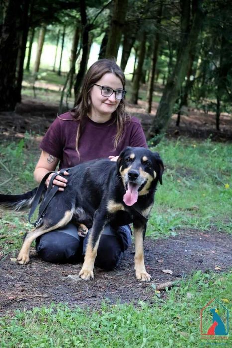Wspaniały pies - podbija serca wszystkich - adoptuj przyjaciela