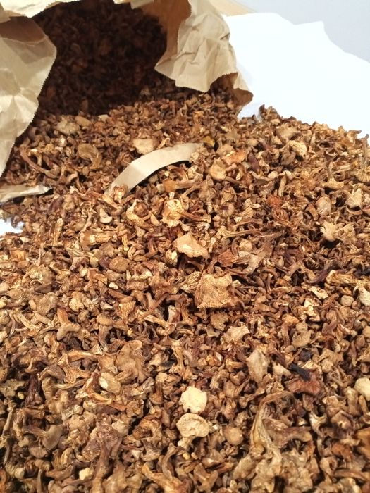 Grzyby suszone kurki tegoroczne