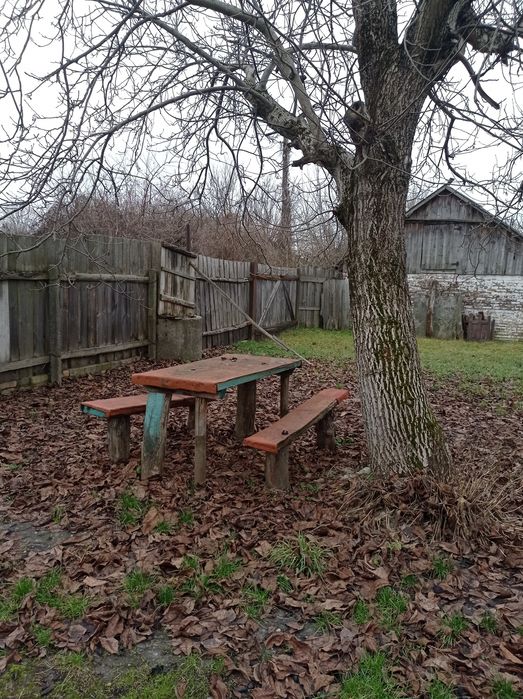 Садиба по трасі Чернігів-Київ. Село Красилівка.