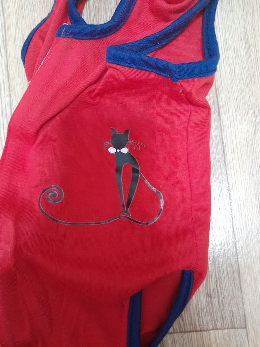 Костюмчик для котика