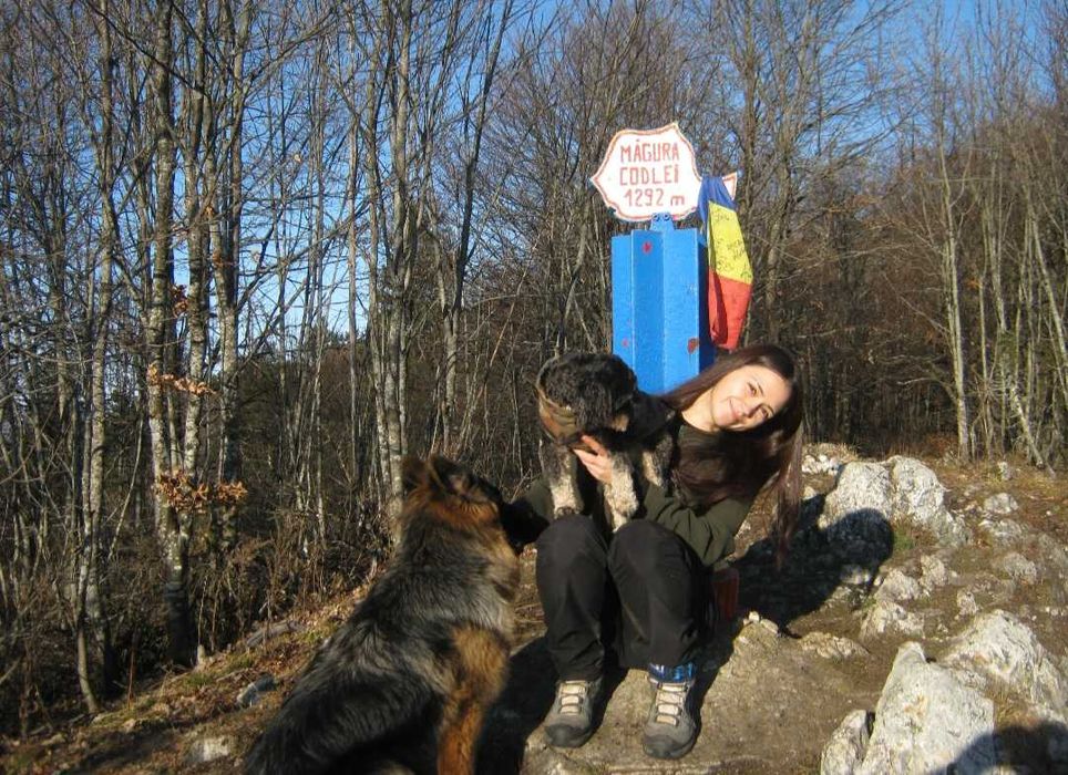 Dog Walking / Passeio de cães în Porto
