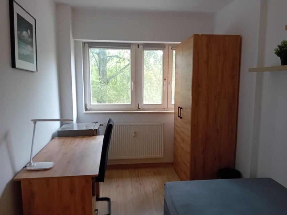 Pokój do wynajęcia