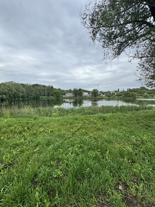 Продаж будинку з великою земельною ділянкою у Музичах