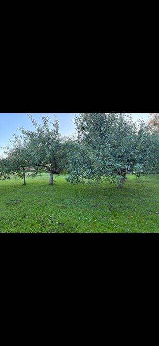 Działka budowlana na sprzedaż w Gołdapi