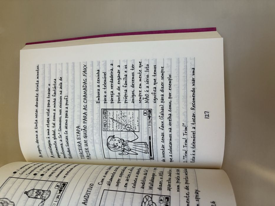 Livro Diário de uma Totó de Rachel Renné Russel