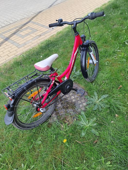 Rower 20cali Pegasus avanti