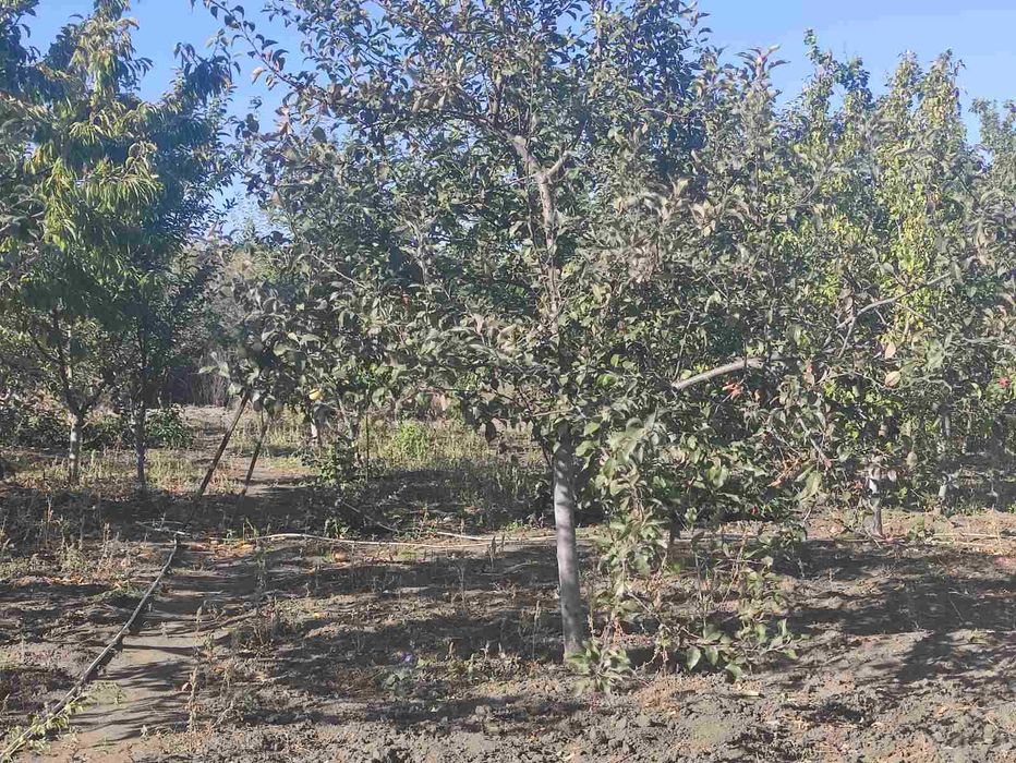 Продам дом в Чугуеве