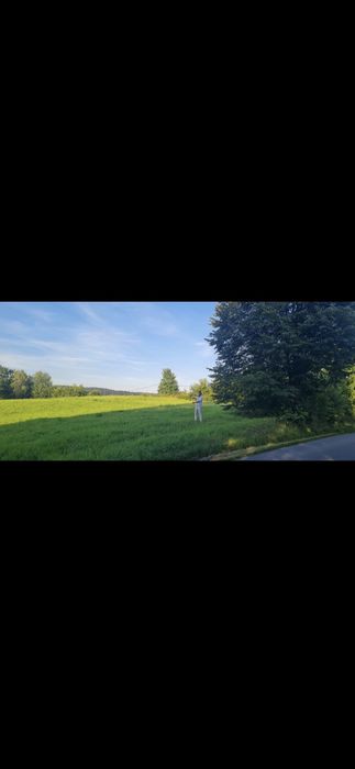 Działka Bieszczady Lesko 29 ar!!! - Widok 3