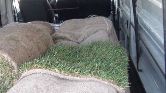 Relva natural em rolo de 1m2