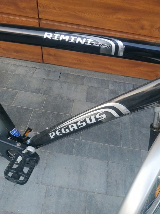 Rower trekkingowy Pegasus