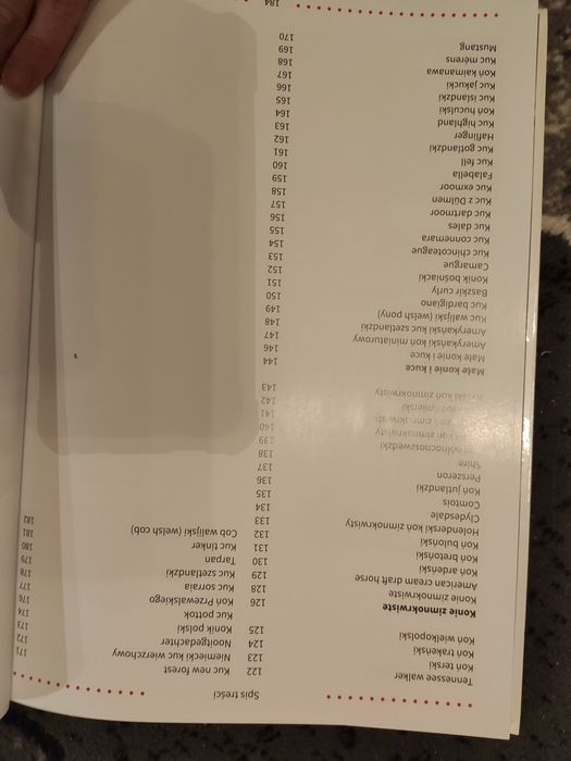 Konie Rasy pielęgnacja jeździectwo