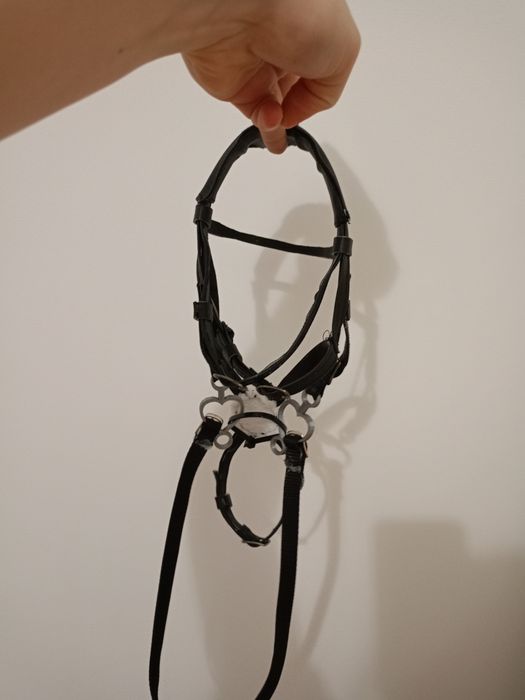 Ogłowie hobby horse