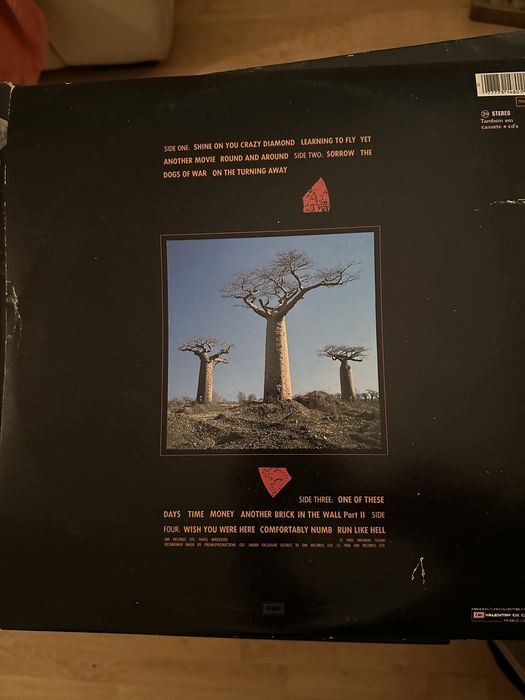 Pink Floyd – Delicate Sound Of Thunder (Vinil LP Duplo Original)