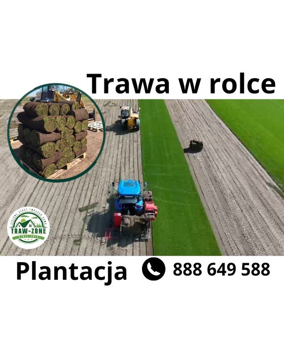 40m² trawa w rolce + transport