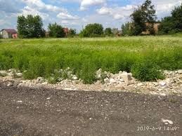 Продам участок в селе Тарасовка 20 соток