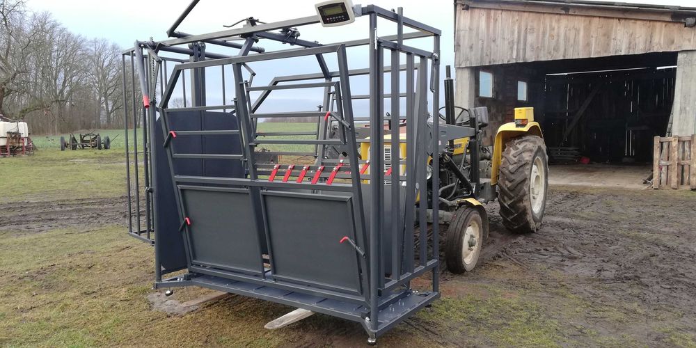 Poskrom + Waga Inwentarzowa dla Bydła Limousine Mamki Odsadki