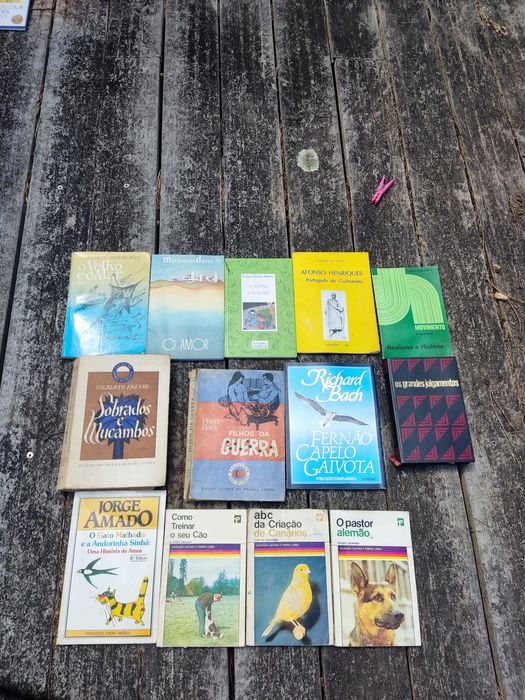Livros variados usados
